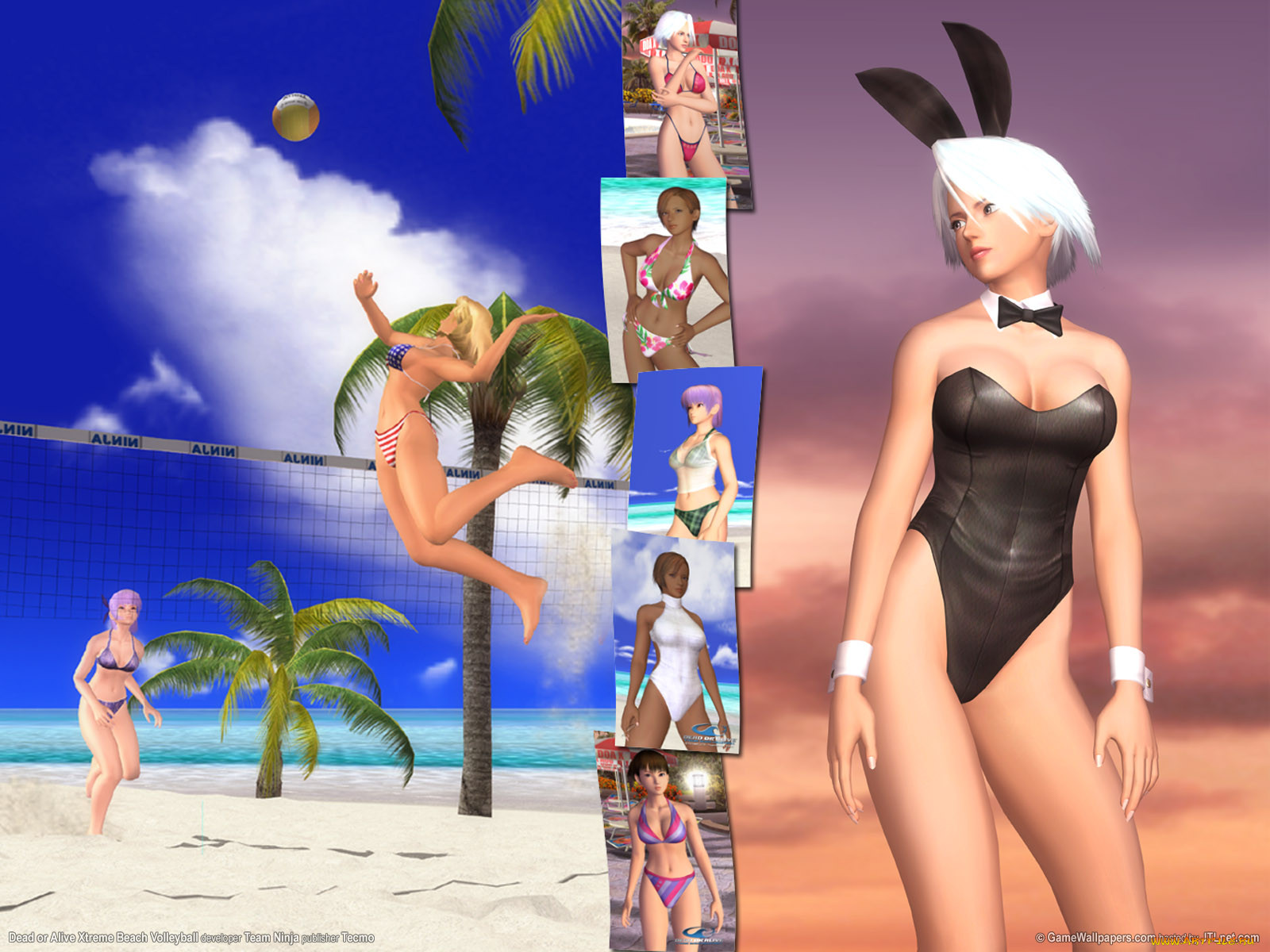 dead, or, alive, xtreme, beach, volleyball, , 